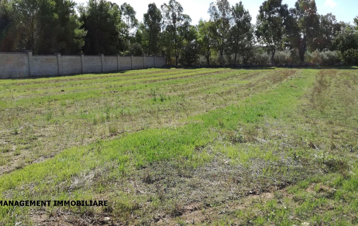 terreno a Castrignano
