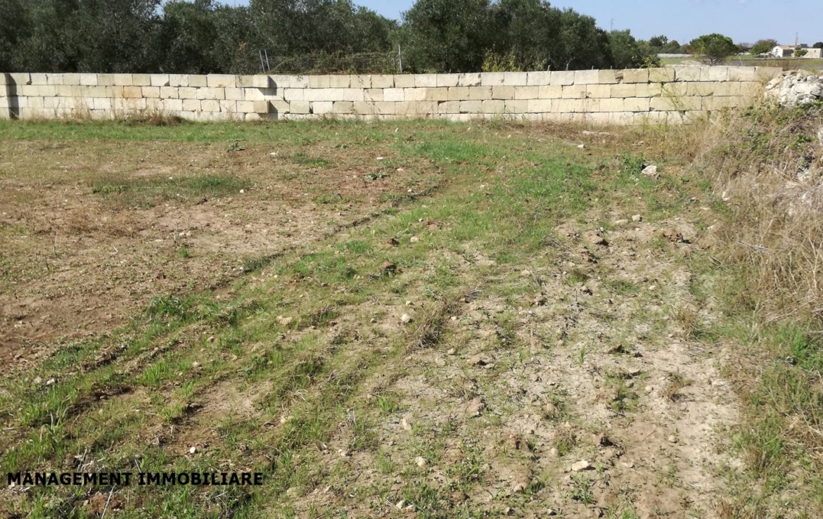 terreno a Castrignano